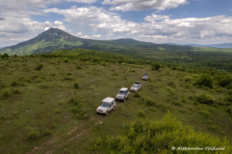 DJI_0121