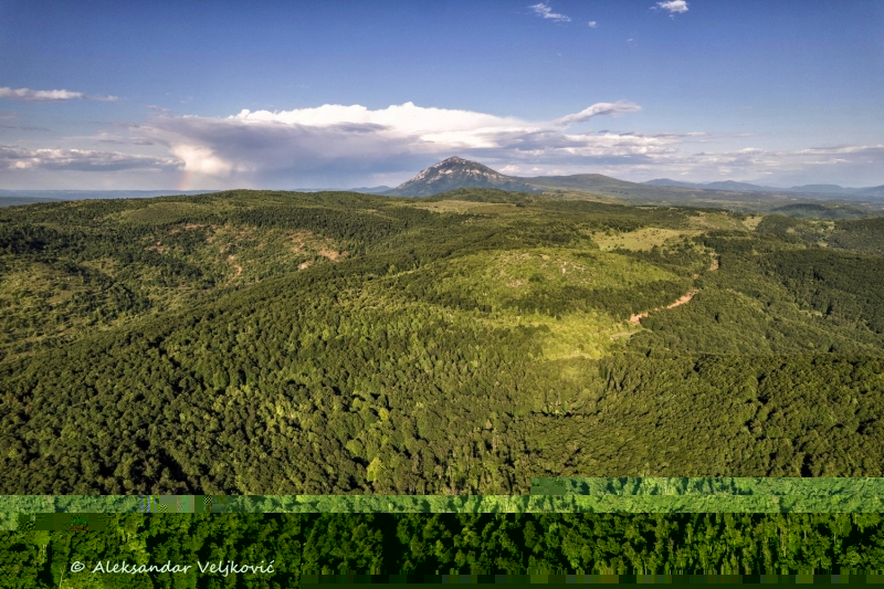 DJI_0128-Edit