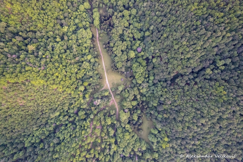 DJI_0955
