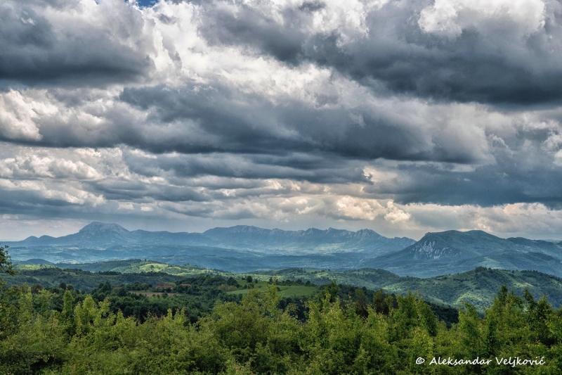 DSC_4302-Edit
