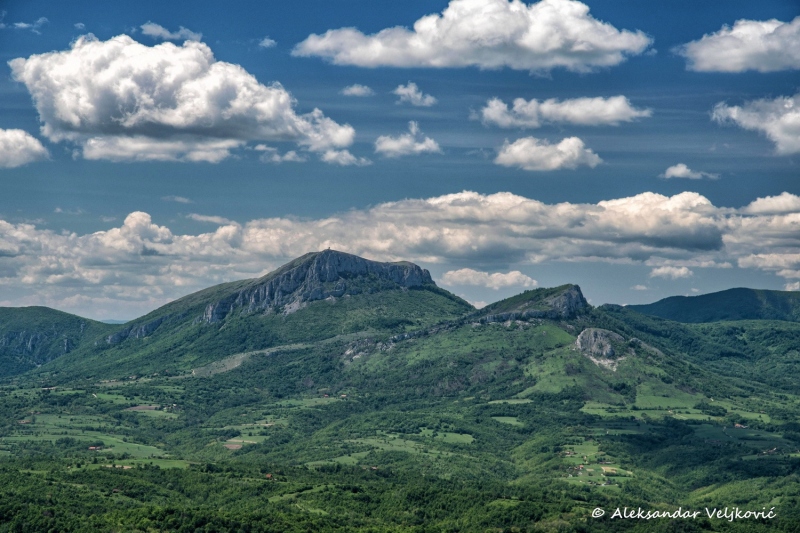 DSC_4323-Edit