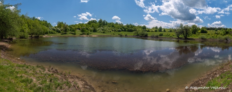 DSC_4421-Pano