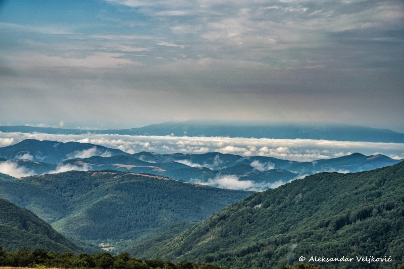 DSC_4928-Edit