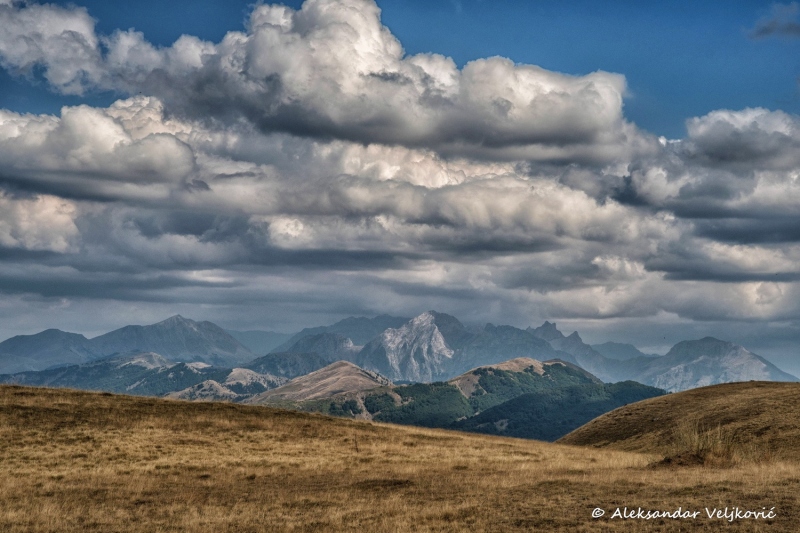 DSC_5528-Edit