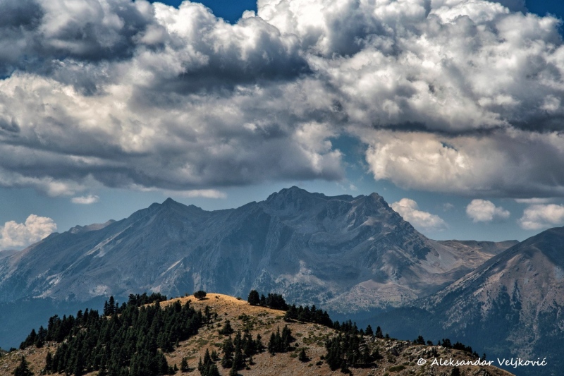 DSC_5556-Edit