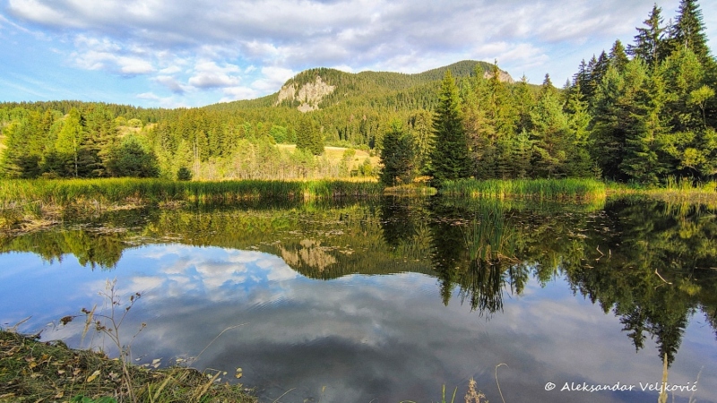 IMG_20250927_172035201_HDR_AE