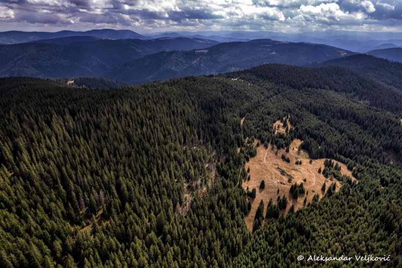 DJI_0028-Edit