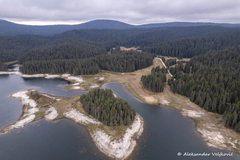 DJI_0956