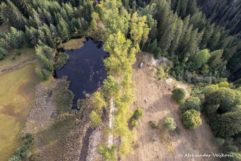 DJI_0971
